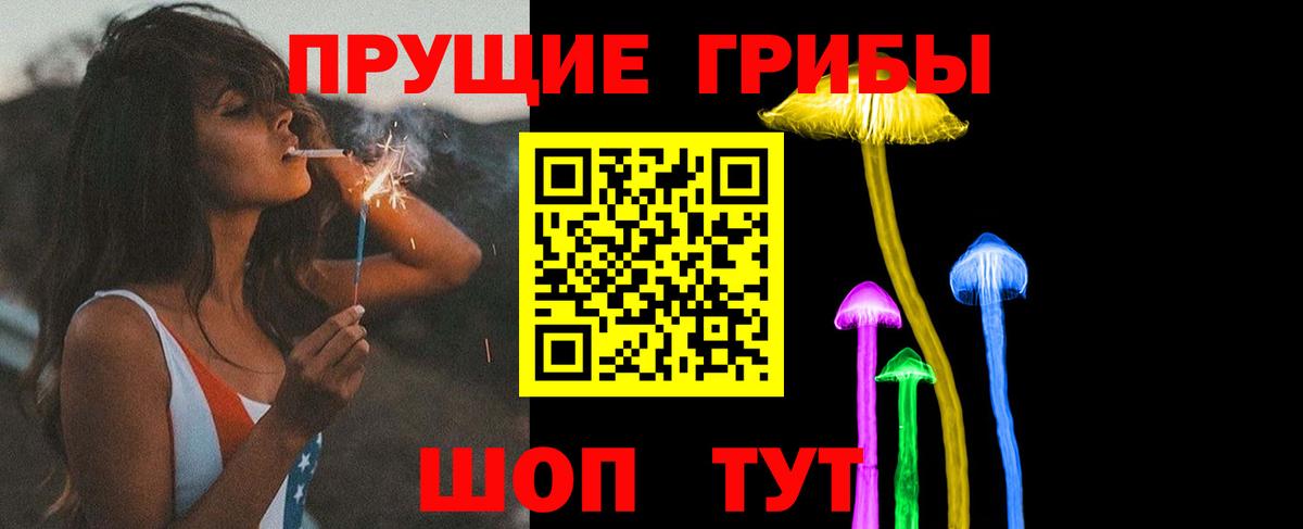 Псилоцибиновые грибы Psilocybe Гуково